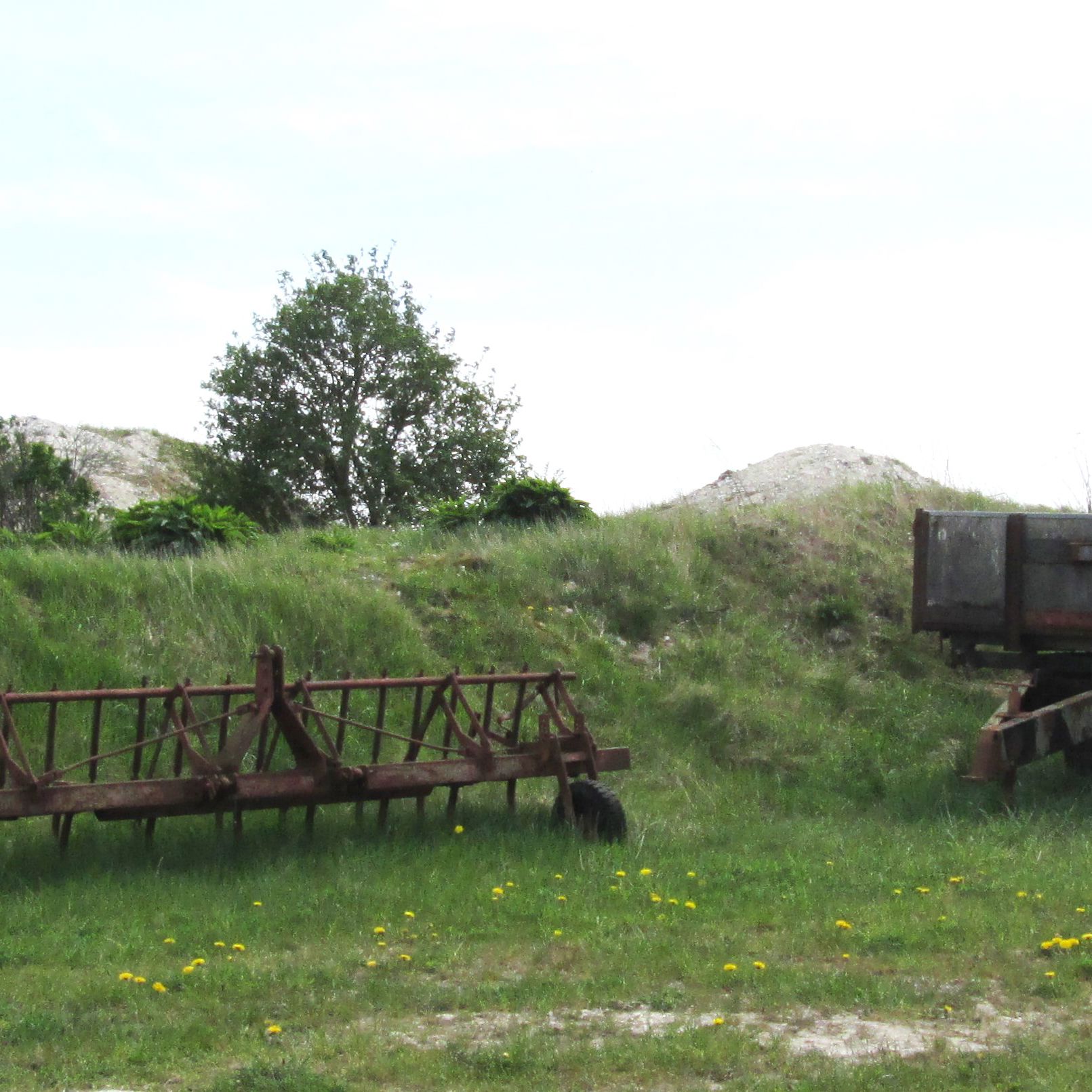 Dalbyover Kalkgrav