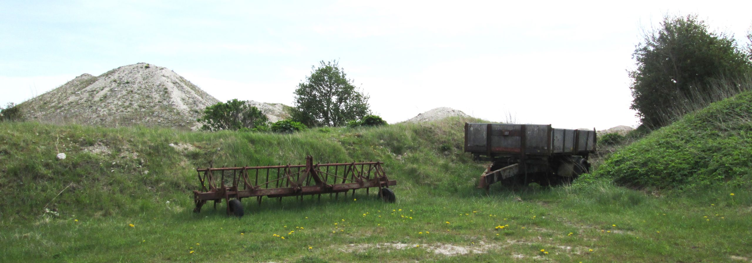 Dalbyover Kalkgrav