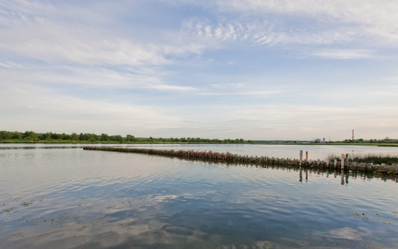 Dronningborg Bredning