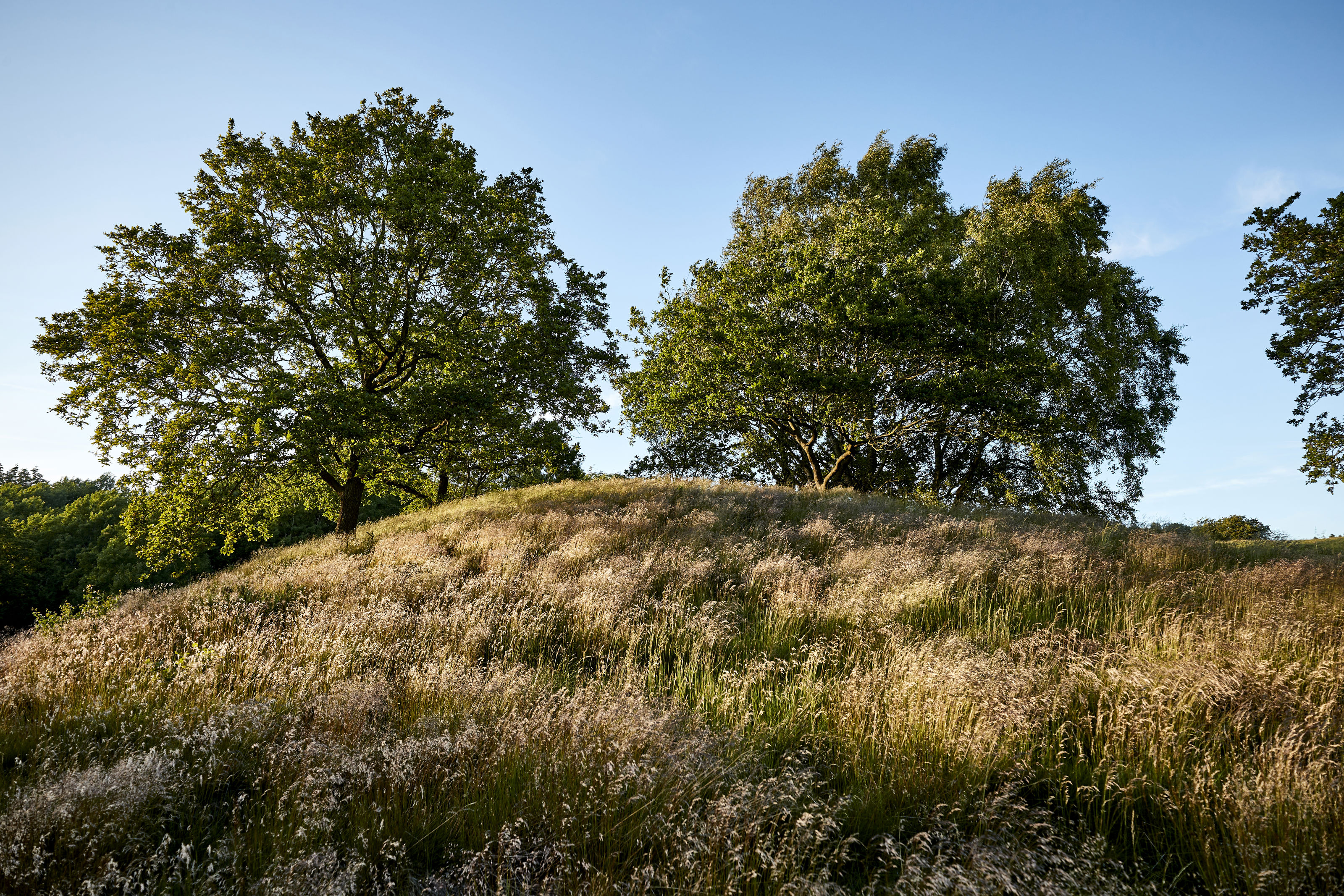 Læsten Bakker
