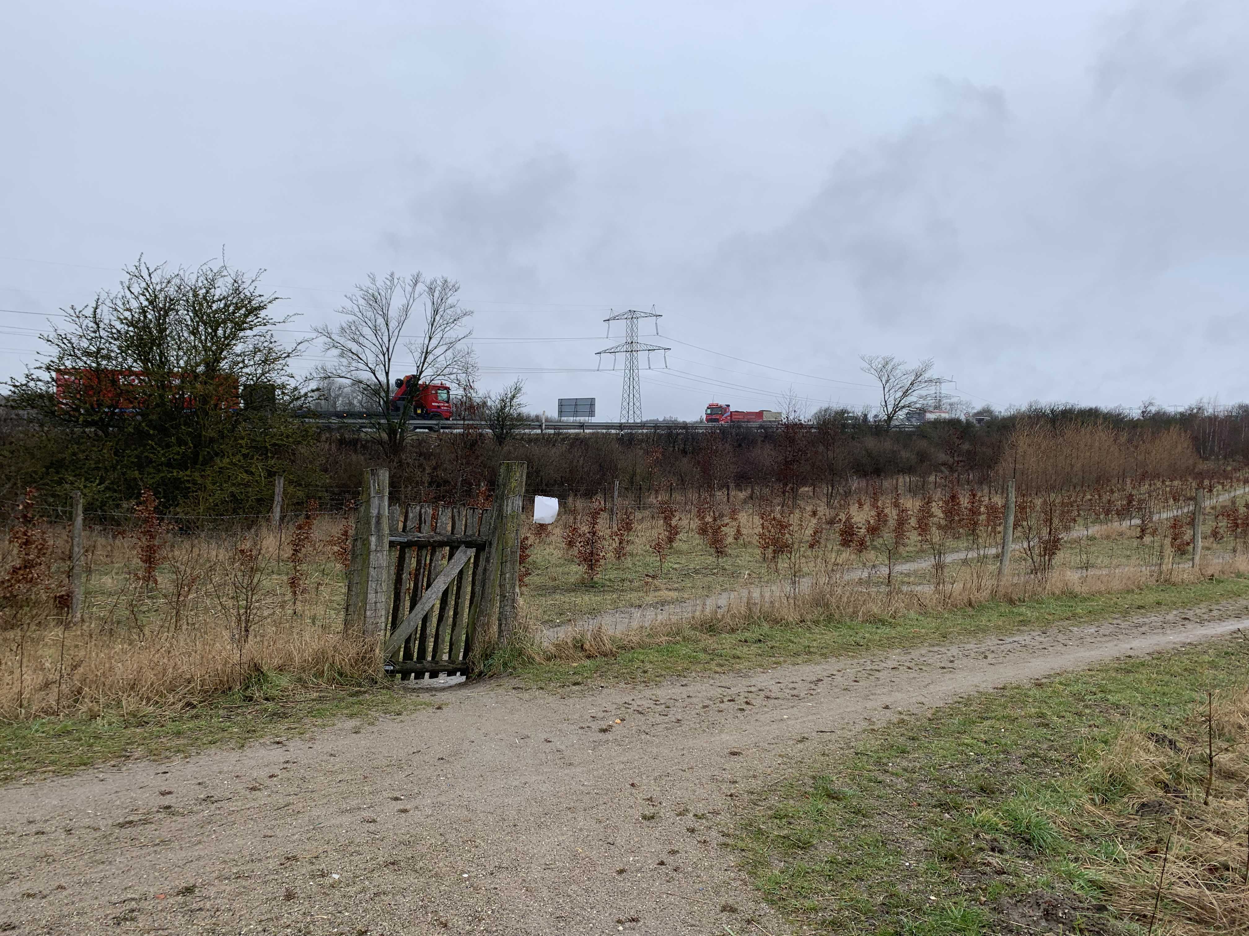 Oust Mølle Folkeskov