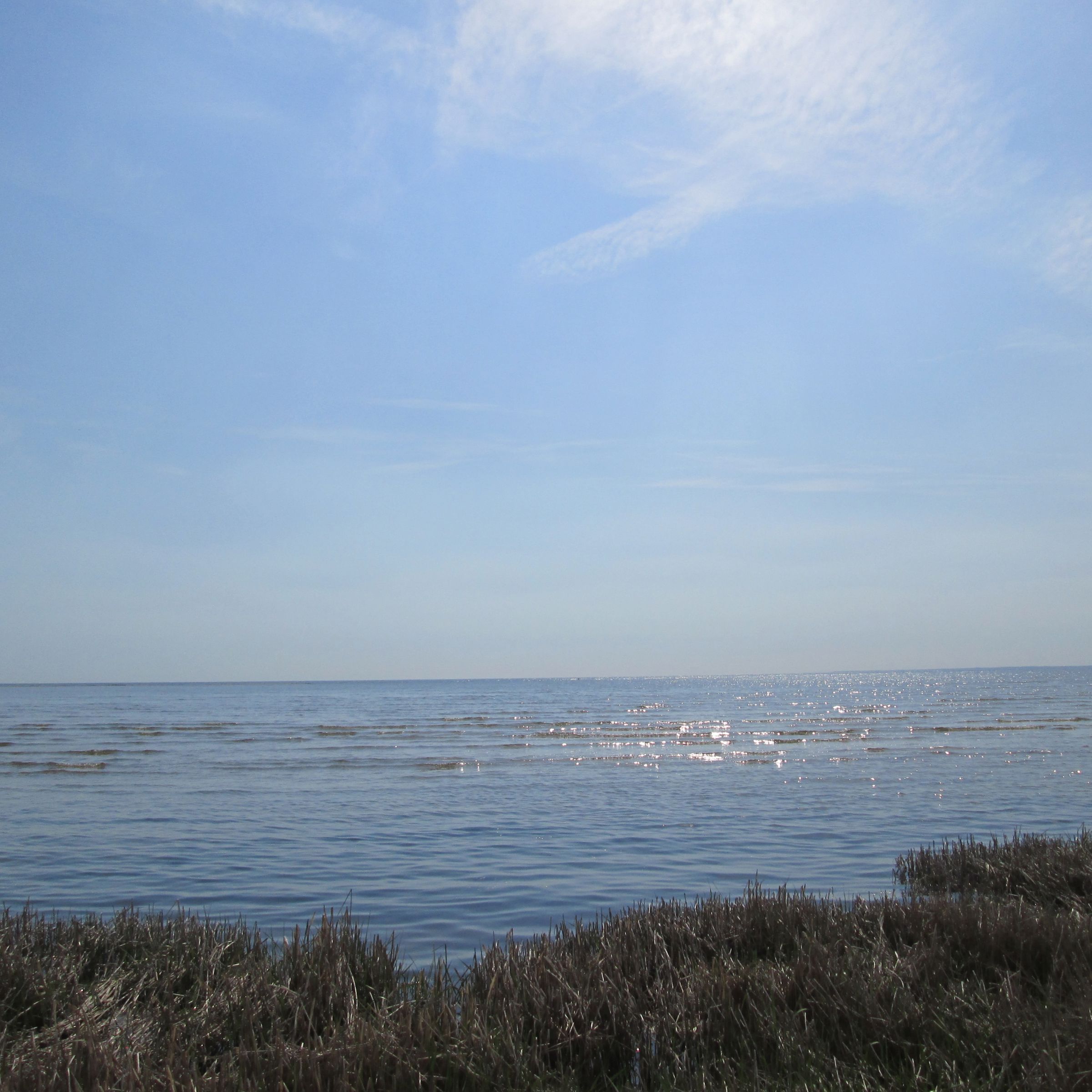 Strandengen og Kattegat