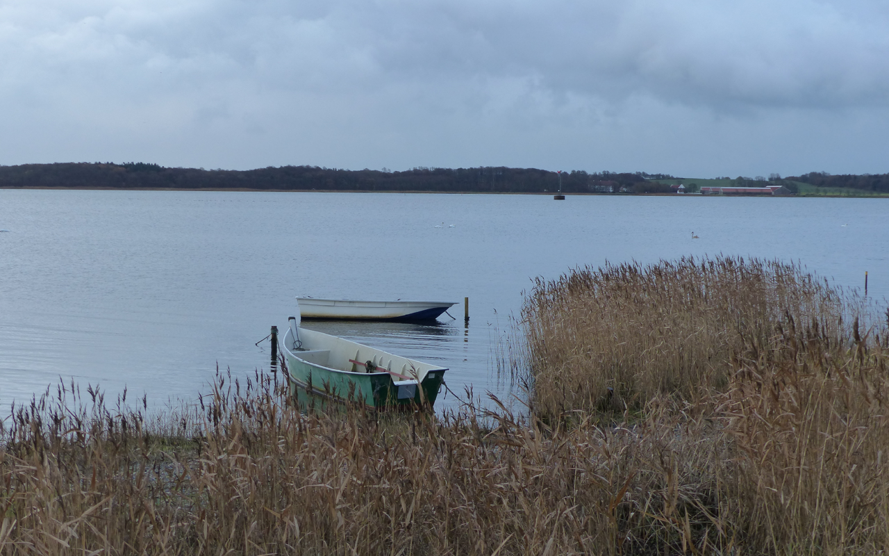Tørring Kær