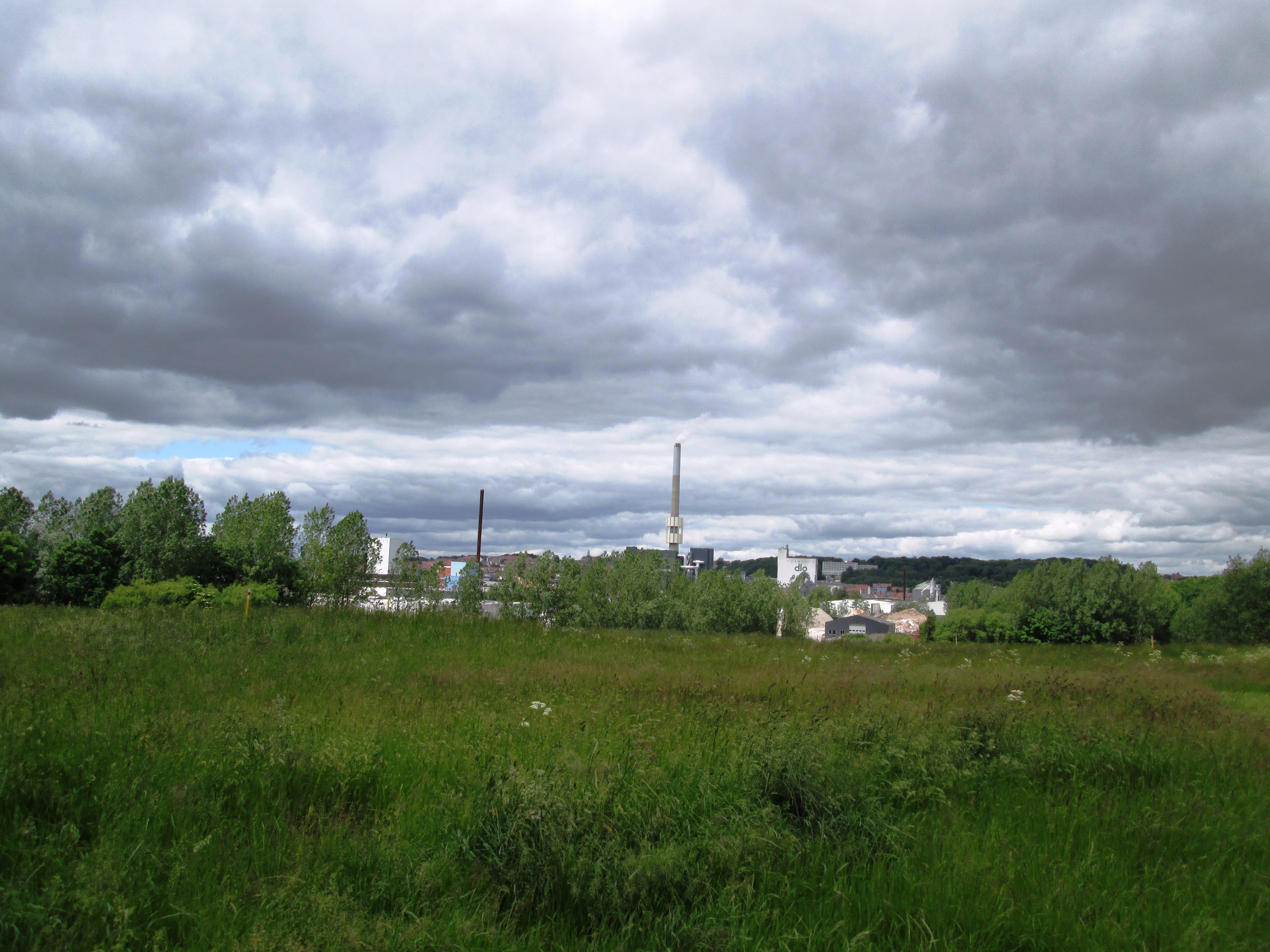 Udsigt fra Skovholmen