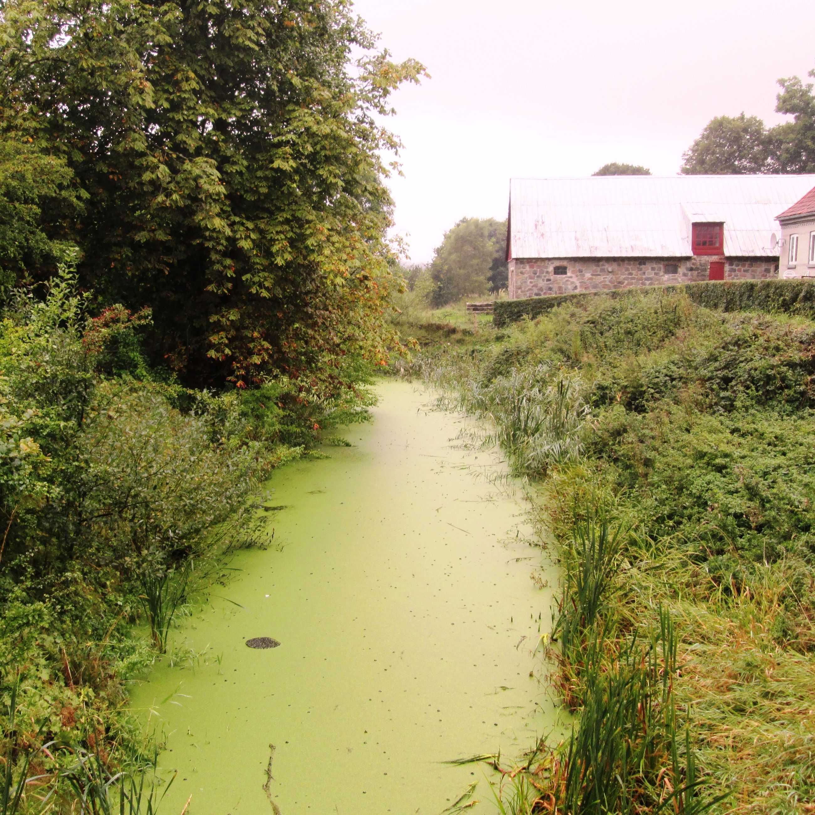 Voldgraven ved Brusgård