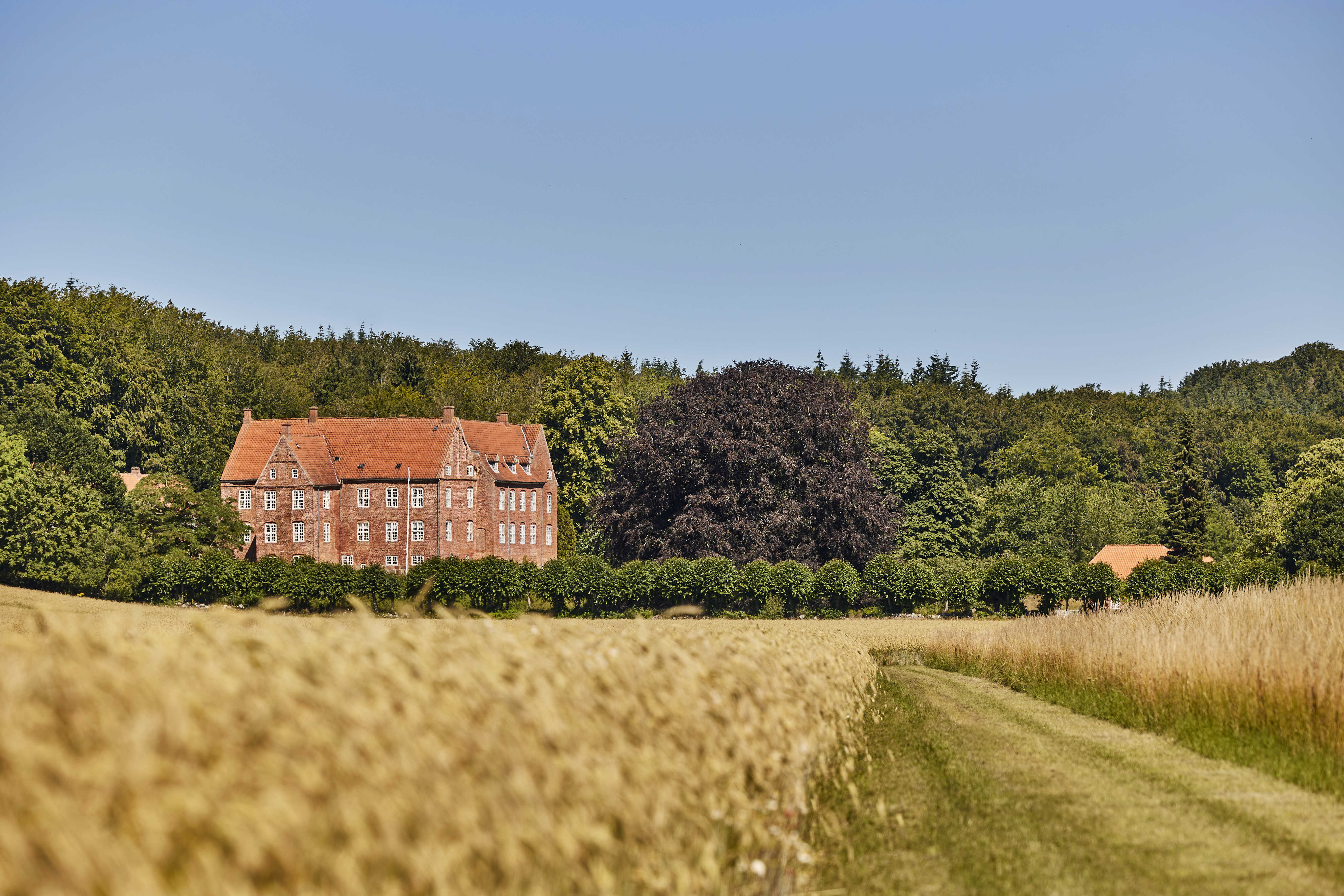 Dødislandskabet ved Støvring