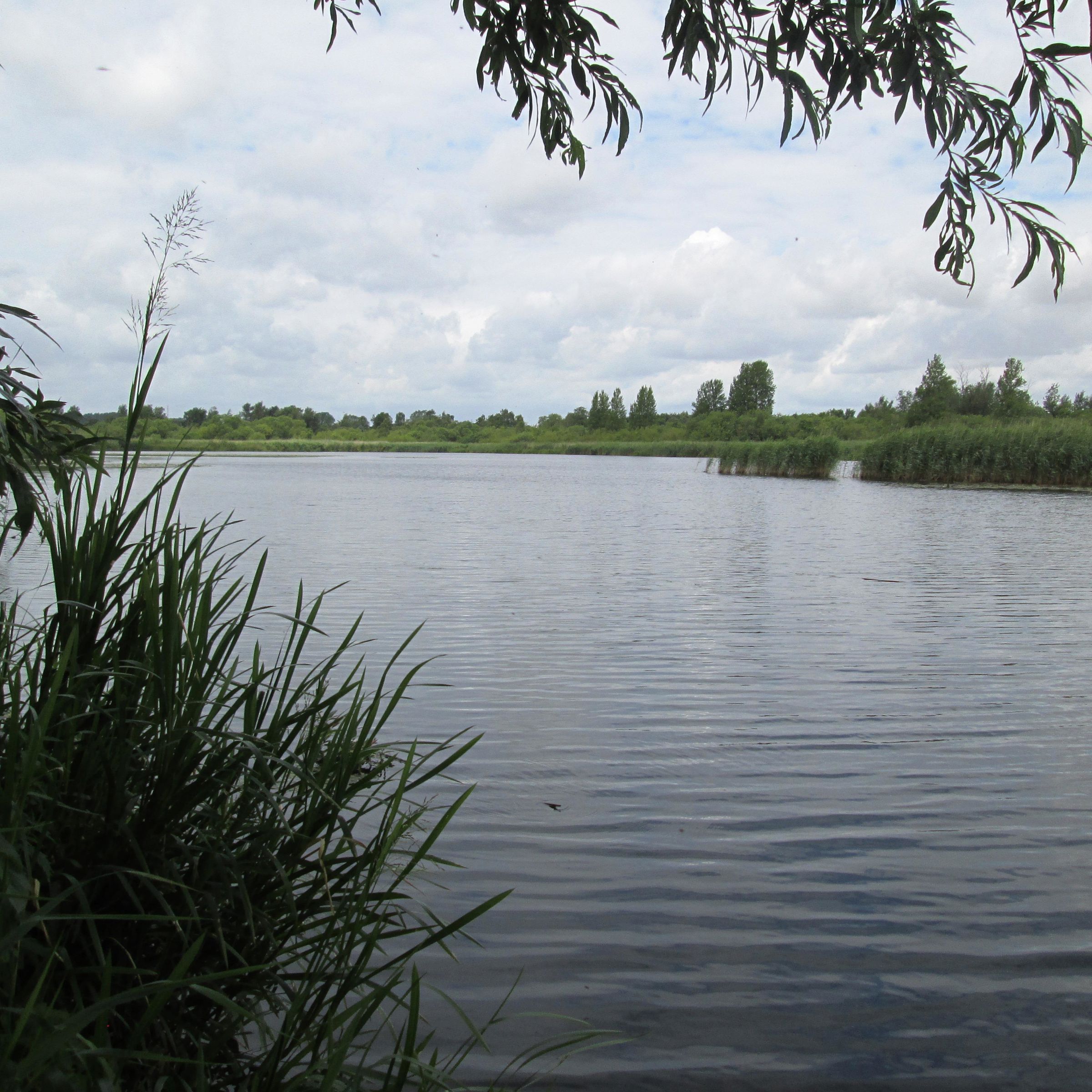 Gudenåparken