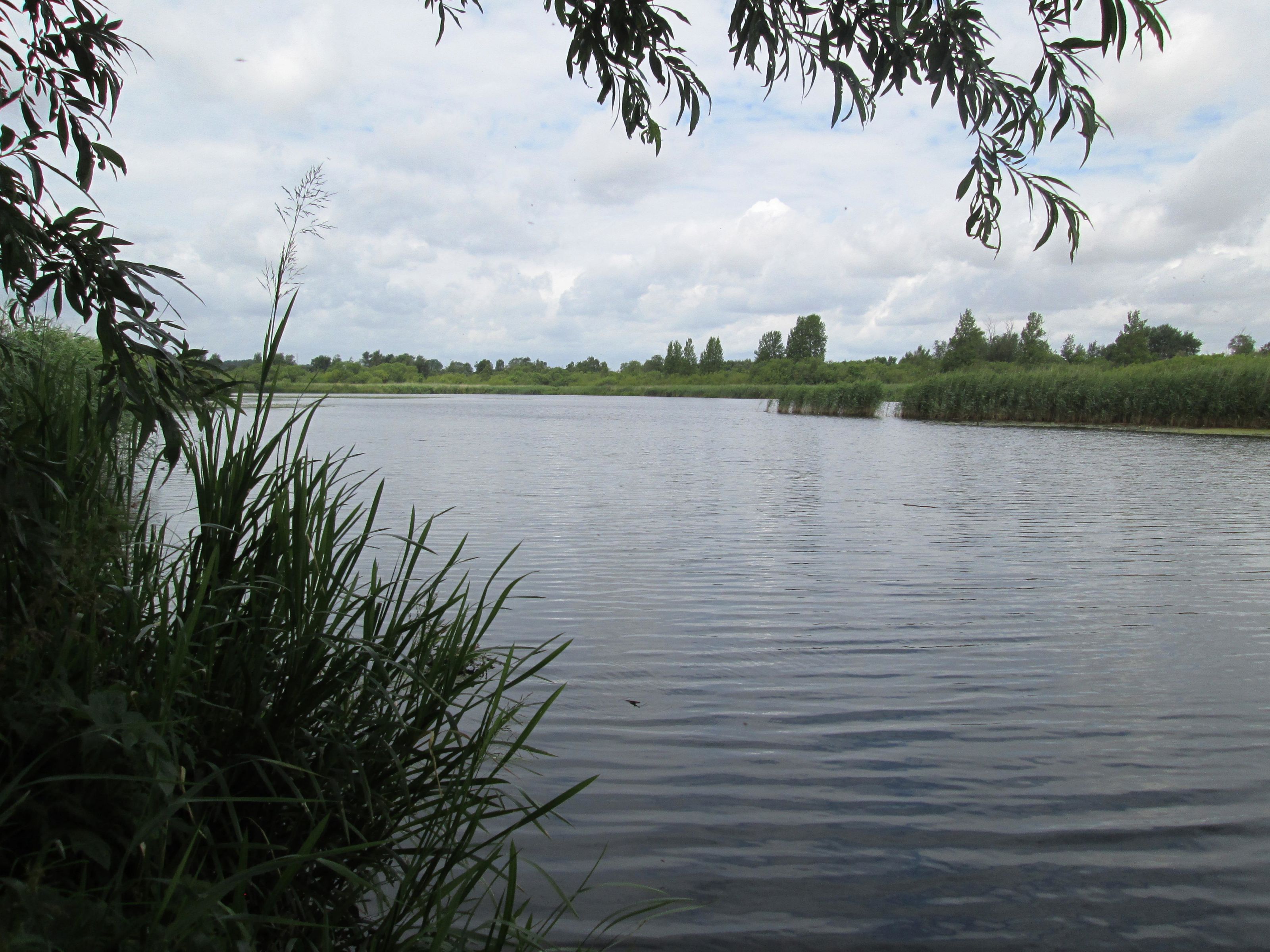 Gudenåparken
