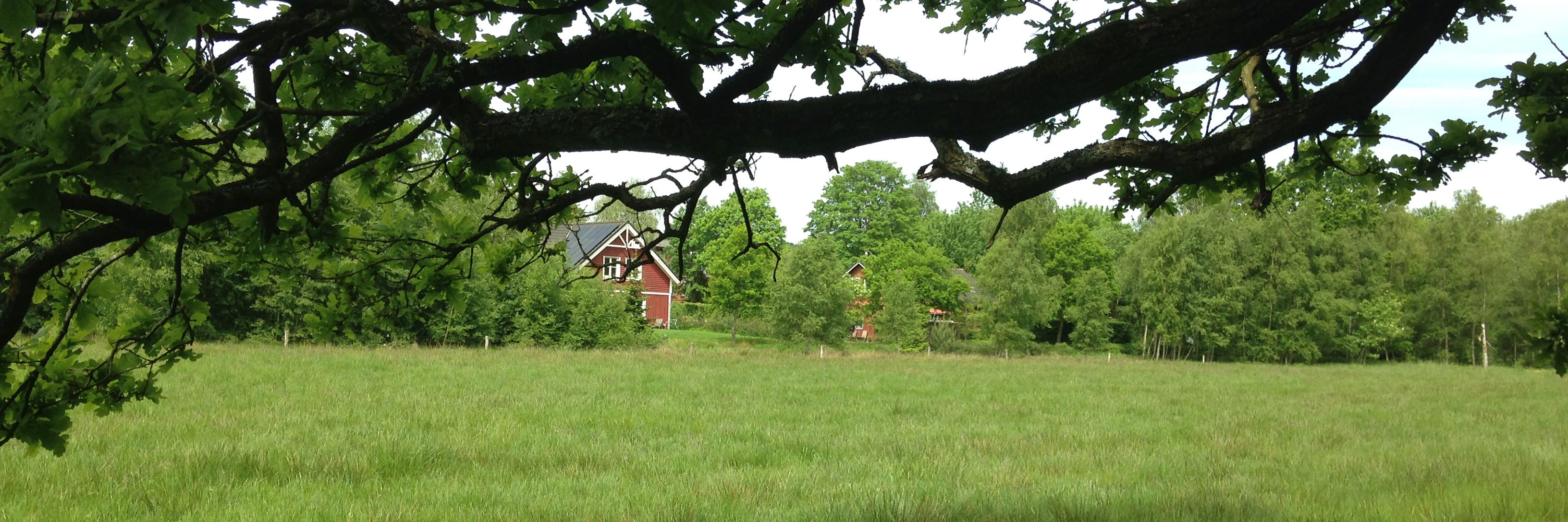 Bynær natur ved Langå