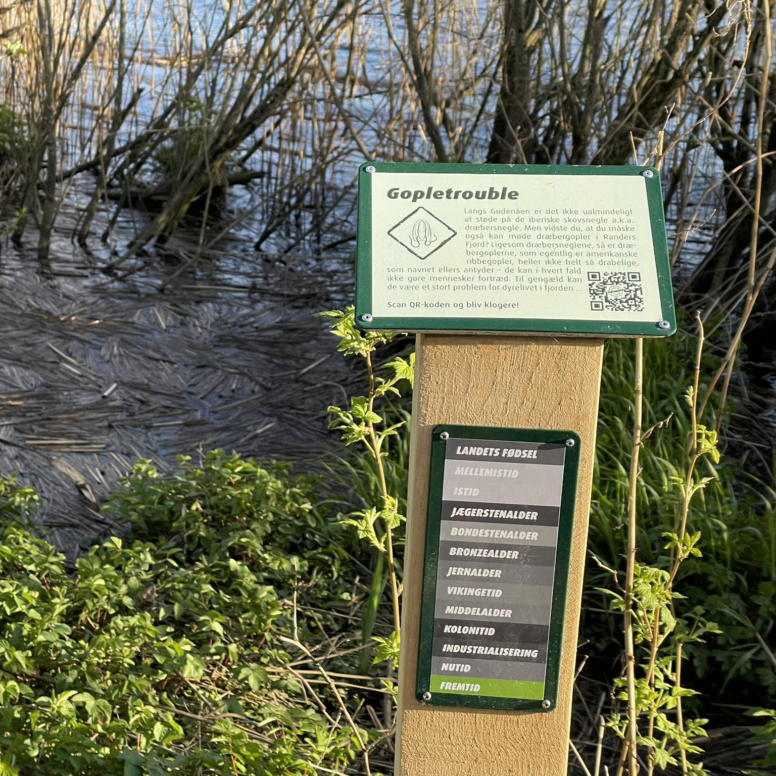 Ungdommens Gudenå