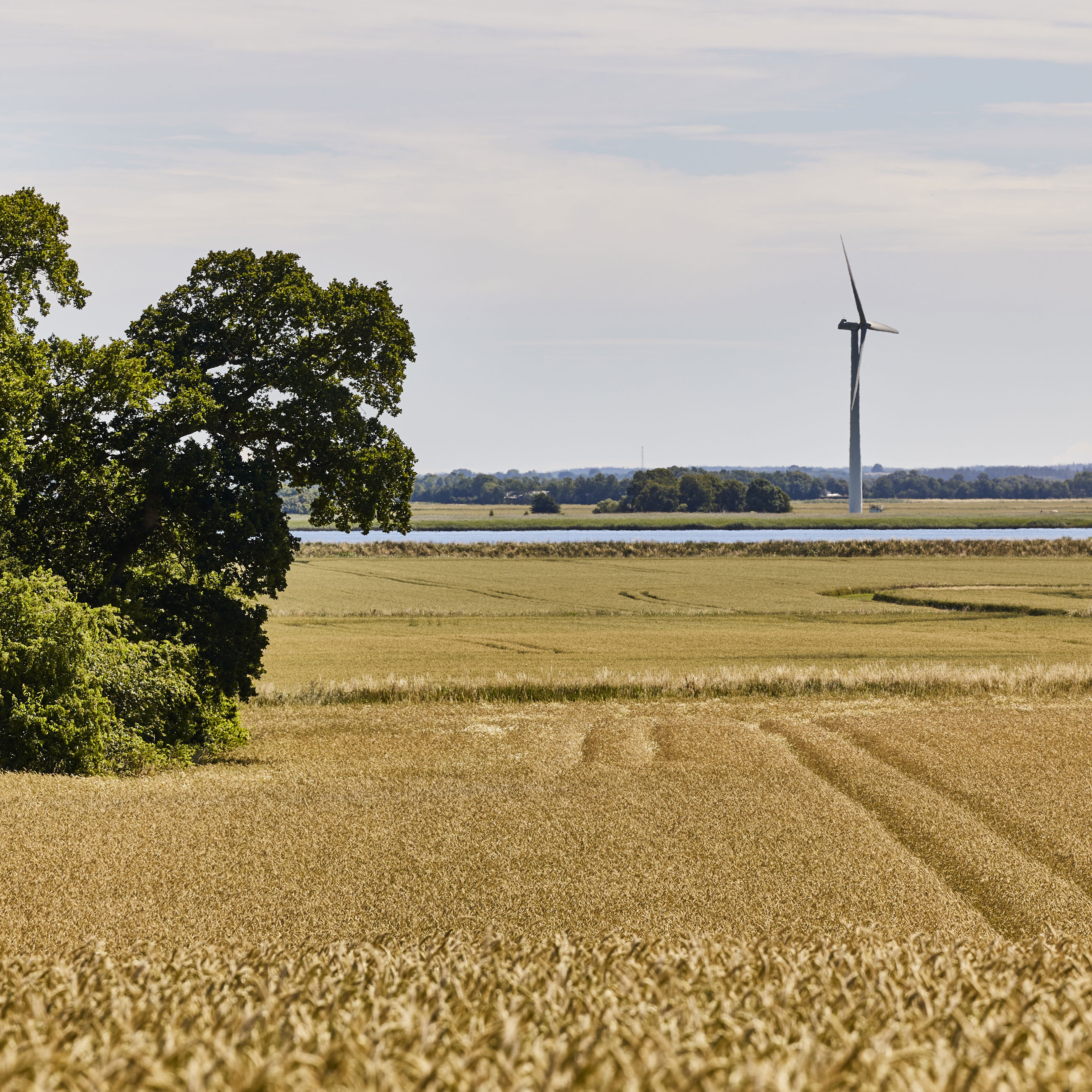 Dødislandskabet ved Støvring