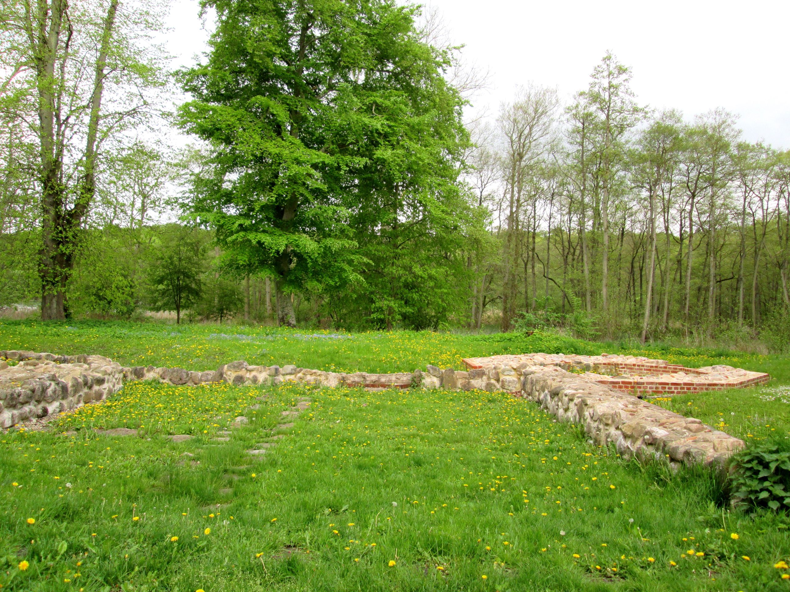 Fussingø Slotsruin