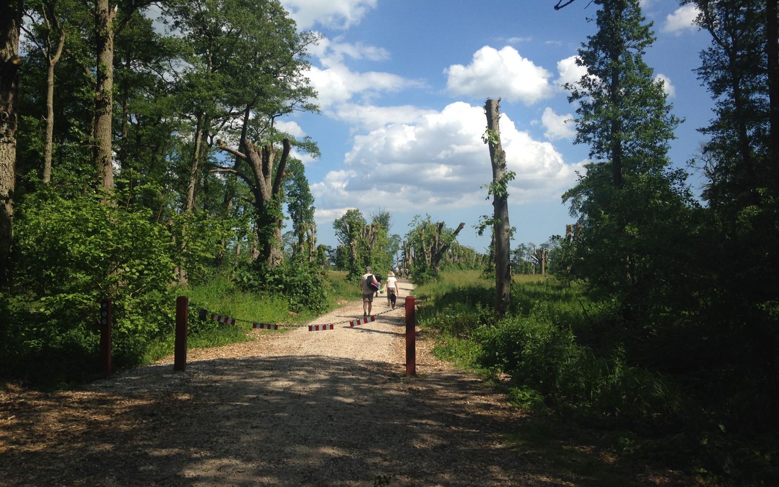 Gammelhave ved Fussingø