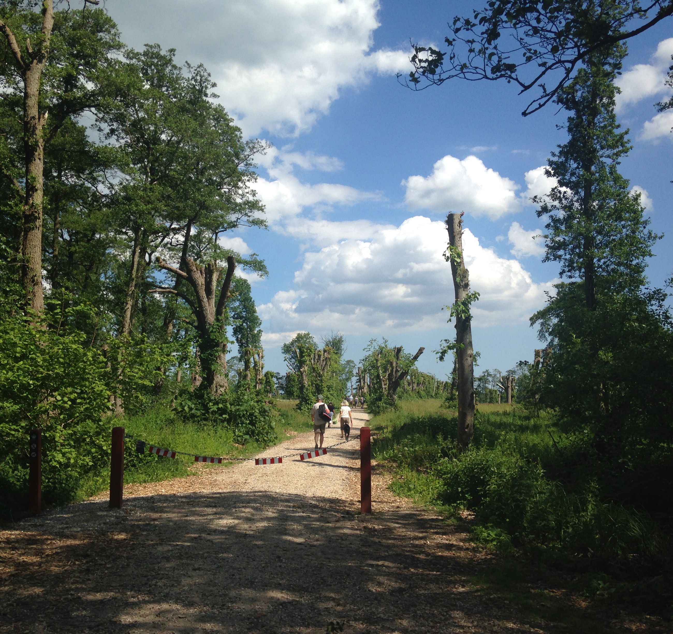 Gammelhave ved Fussingø