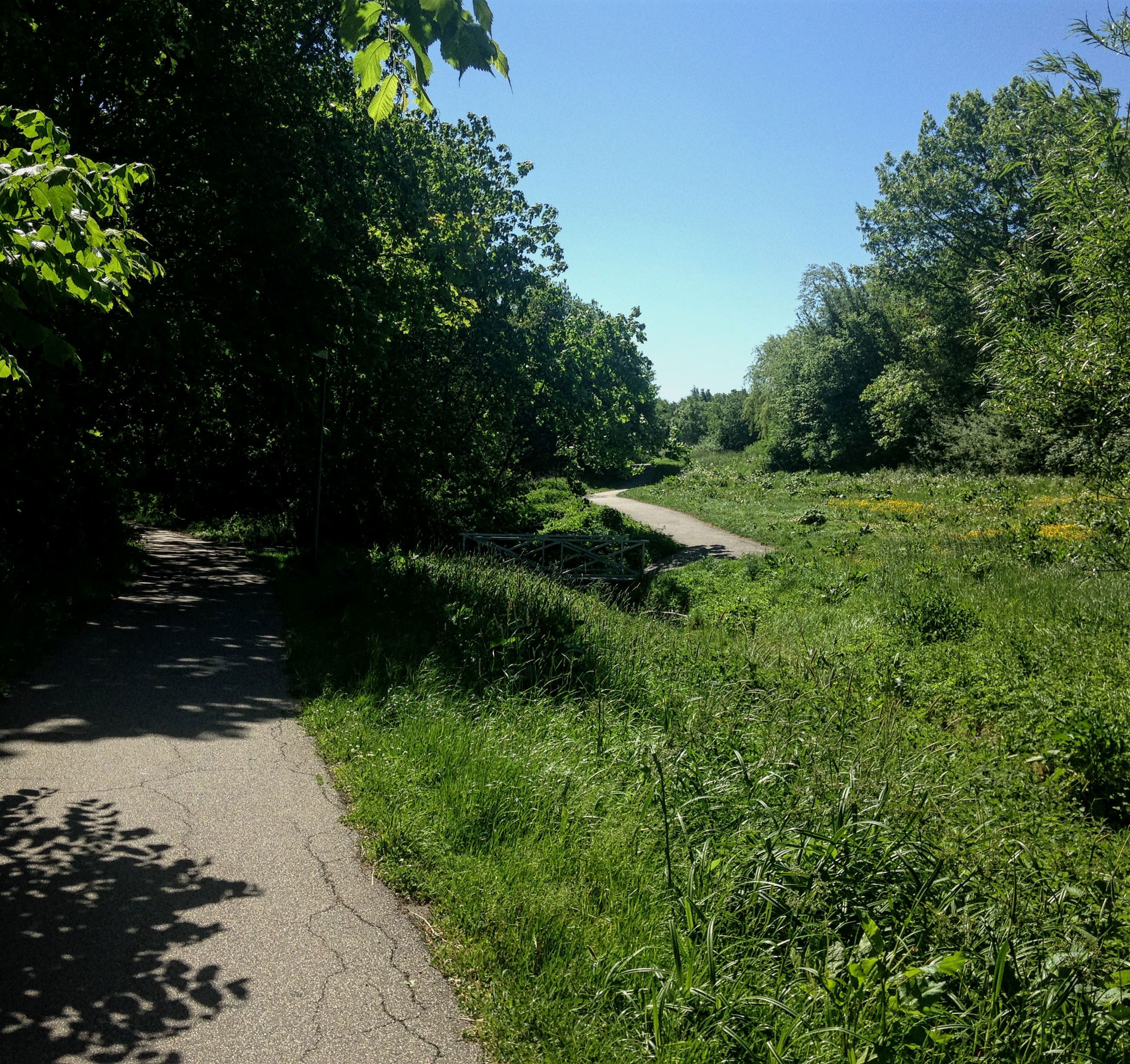 Skov og eng et stenkast fra villakvarteret ved Bækkestien