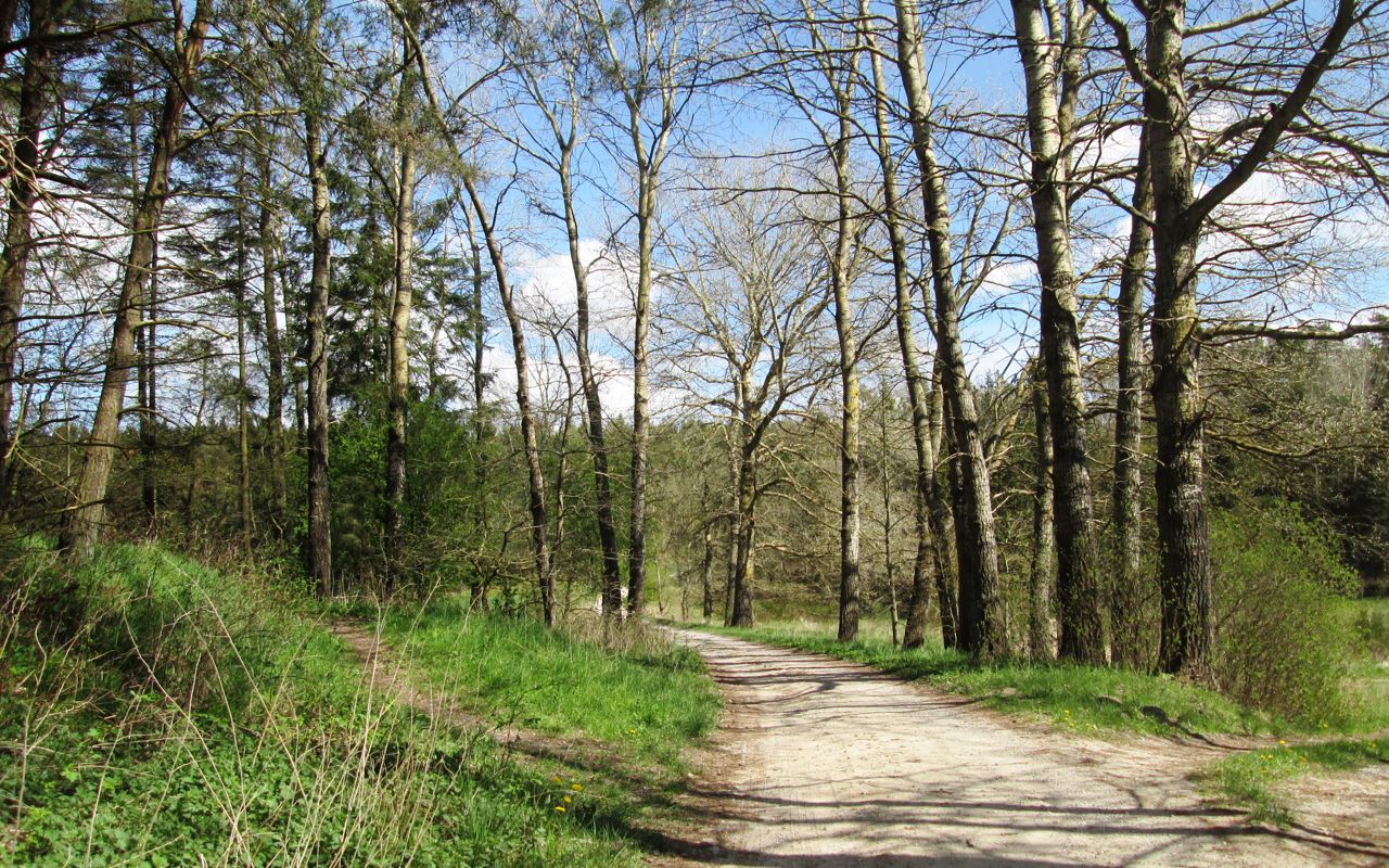 Natur ved Drastrup