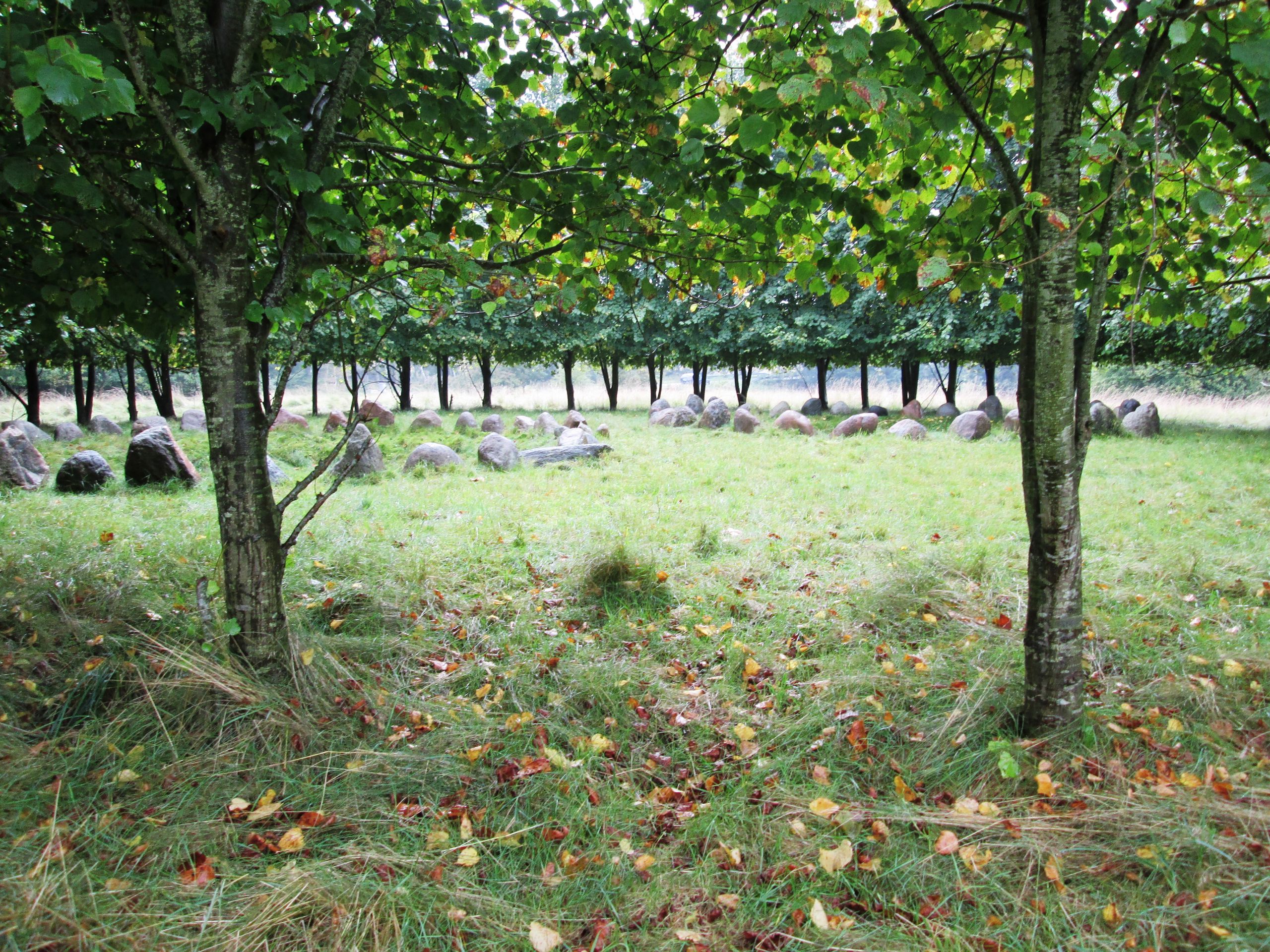 Rundkreds på Krakamarken