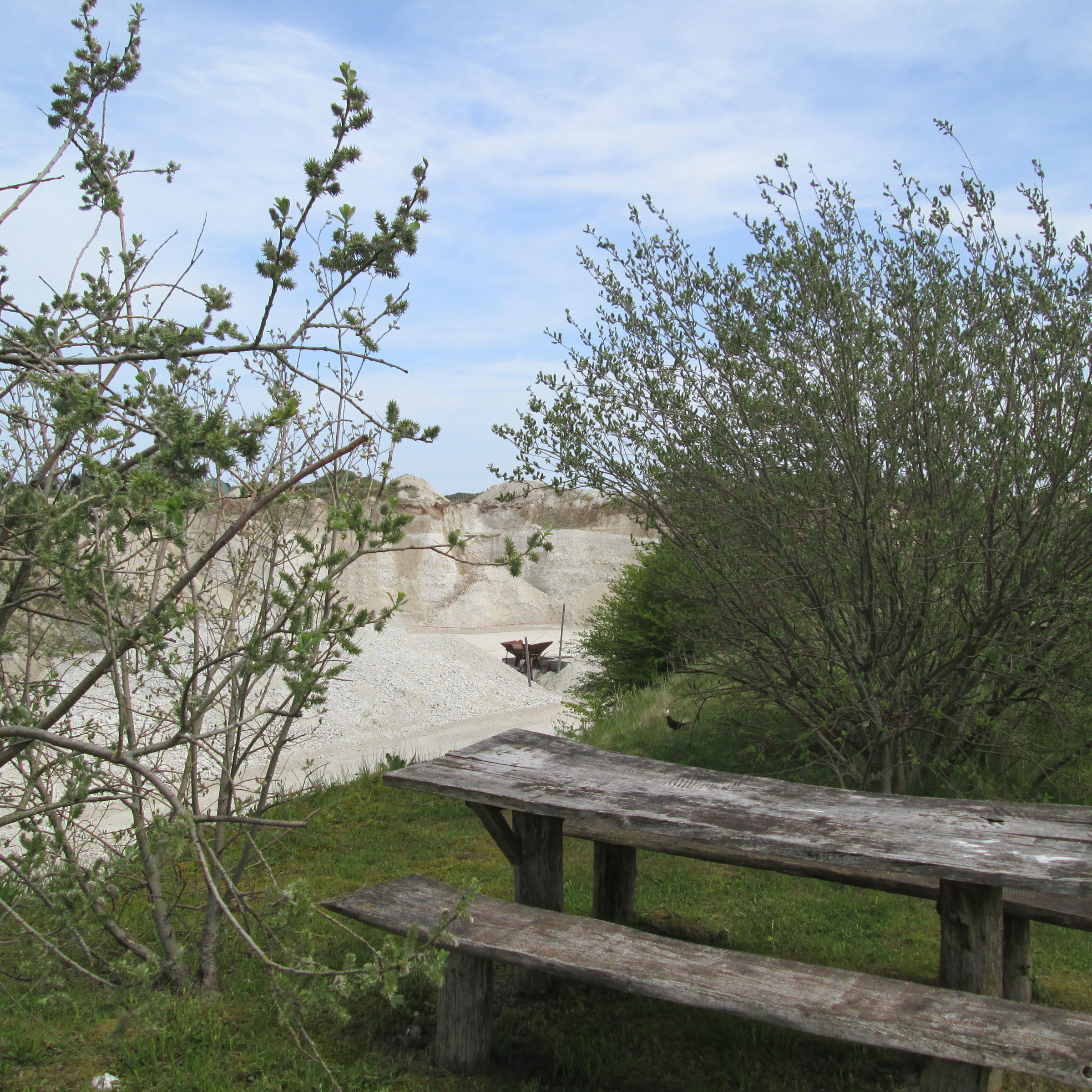 Dalbyover Kalkgrav