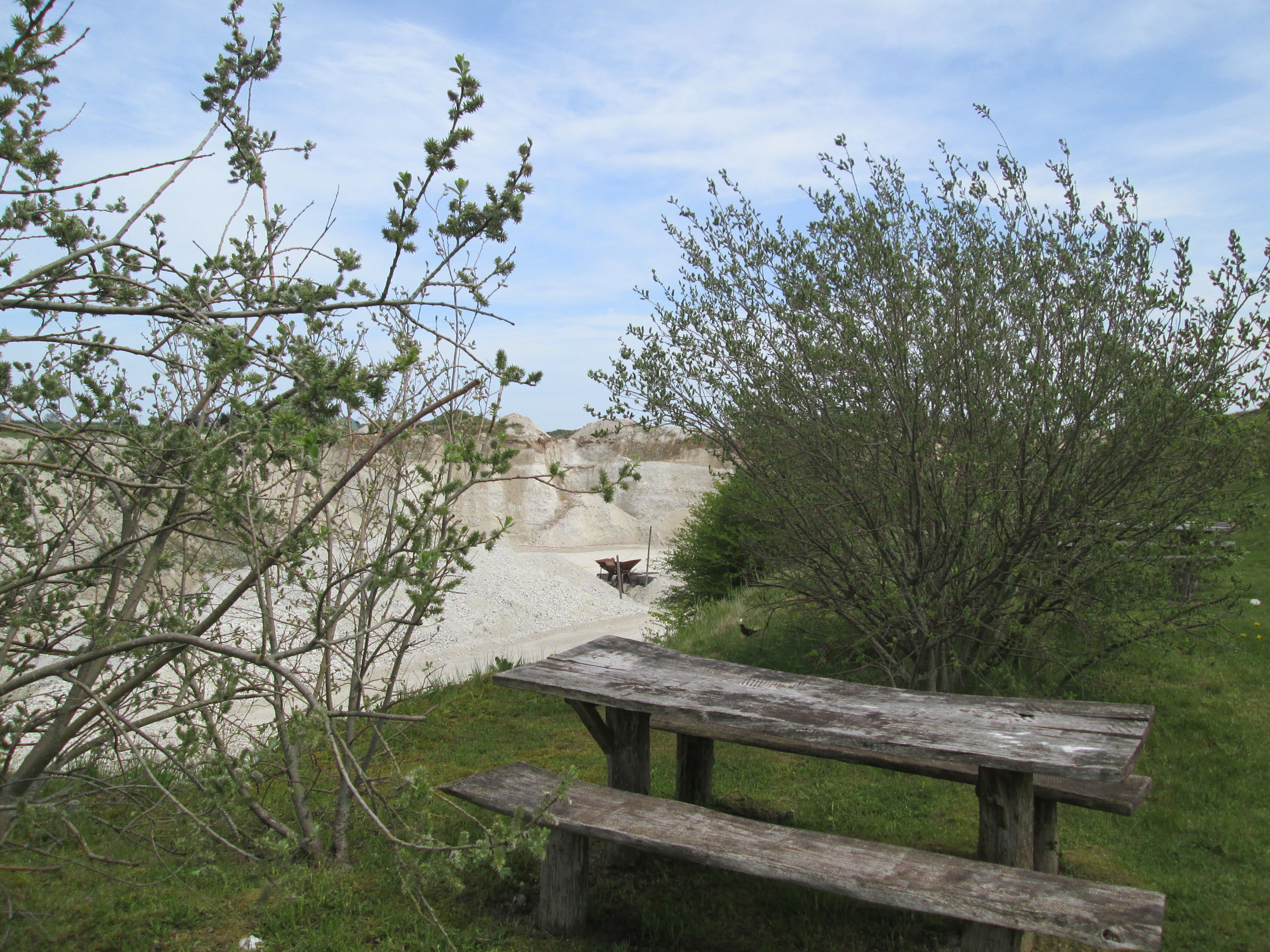 Dalbyover Kalkgrav