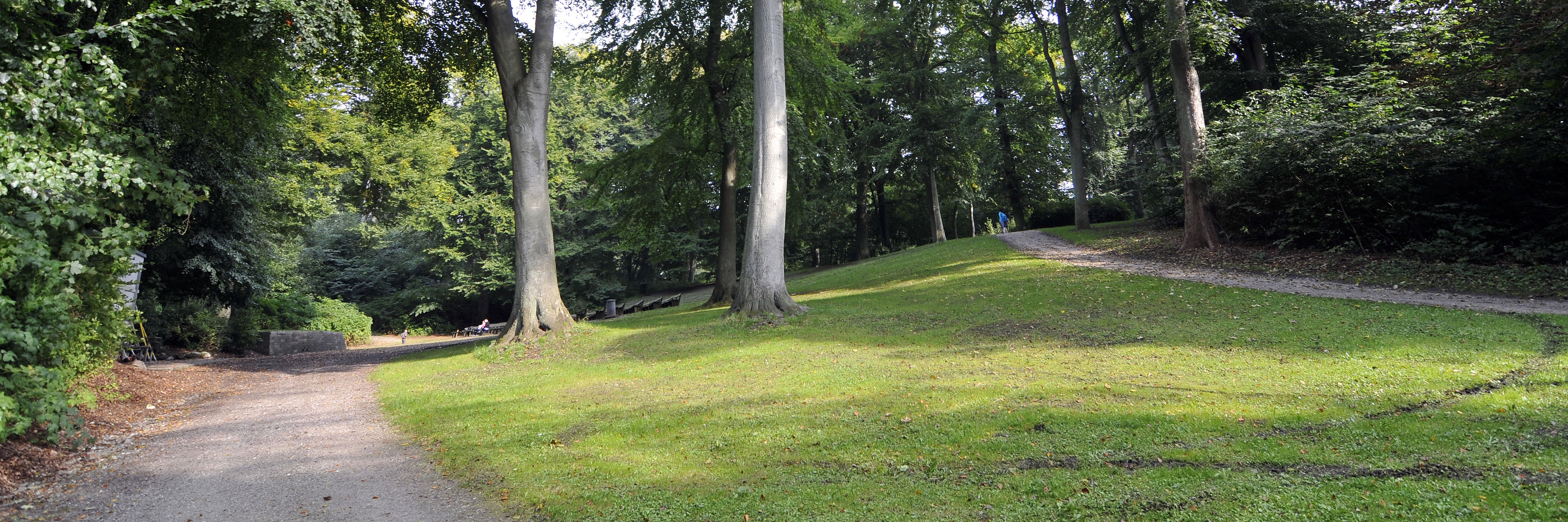 Skovbakken