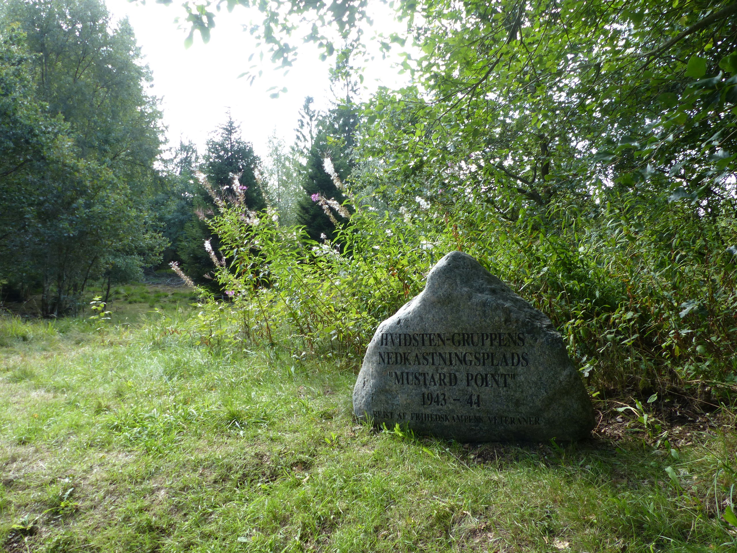 Mustard Point