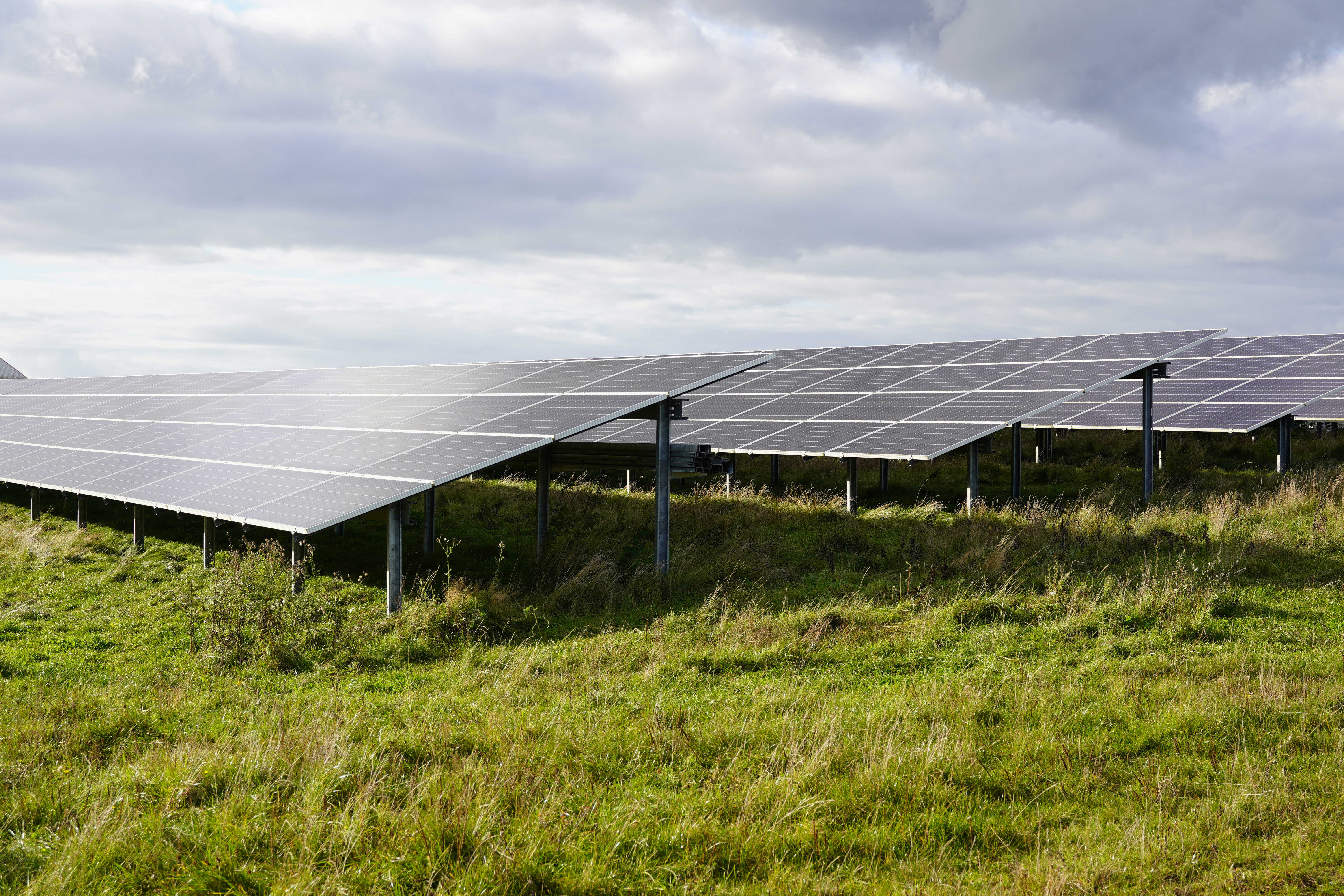 Eksempel på solcellepaneler på faste stativer