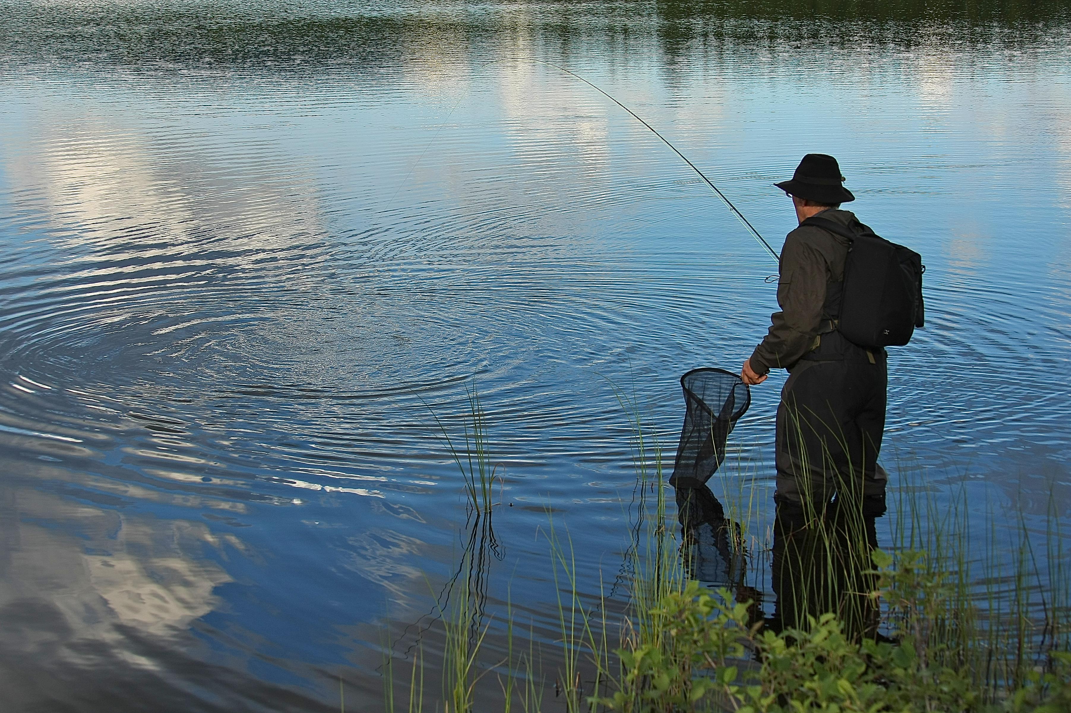 Fisker med net og stang i sø